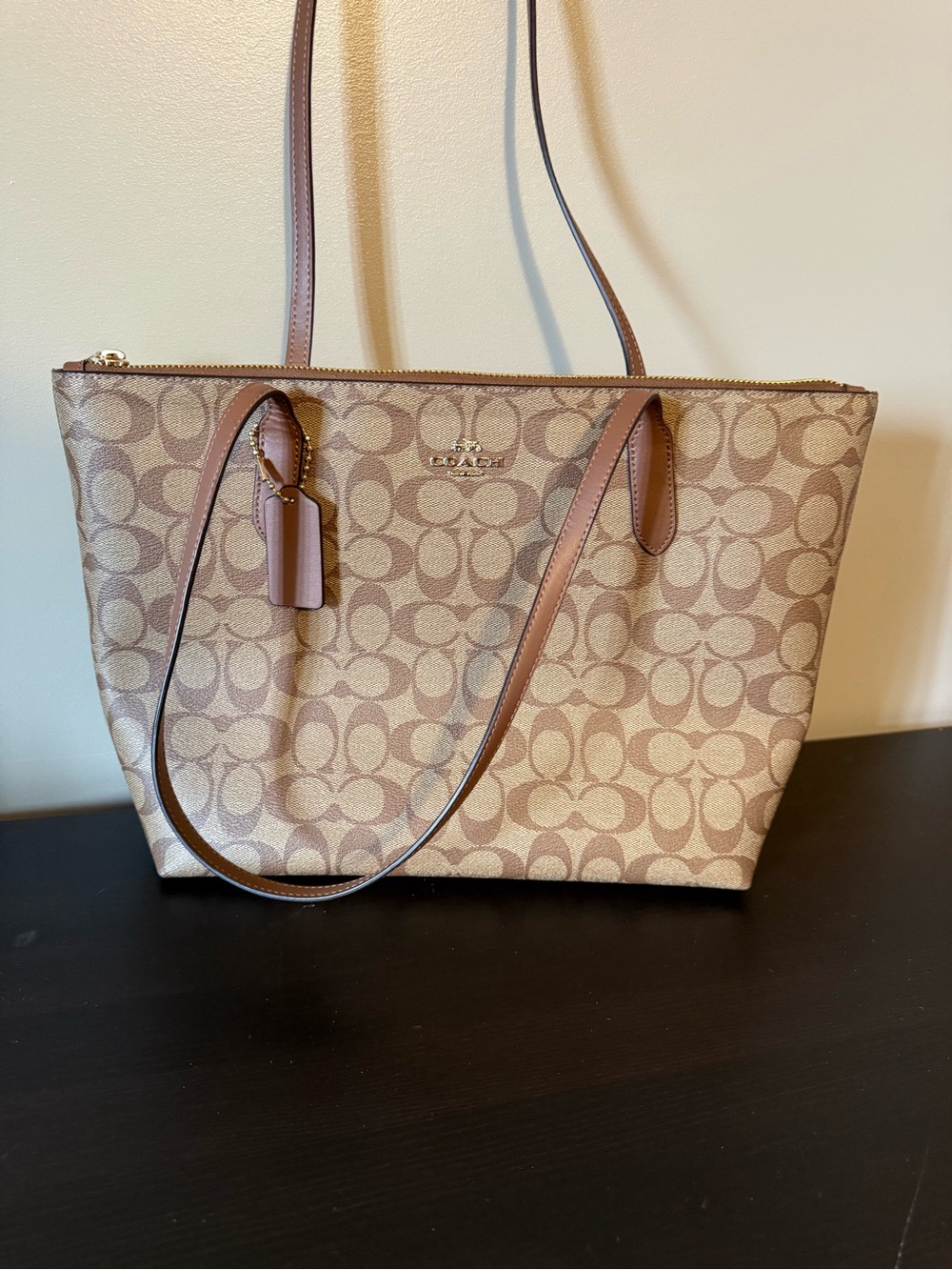 Coach Canvas Tote in Khaki and Chestnut